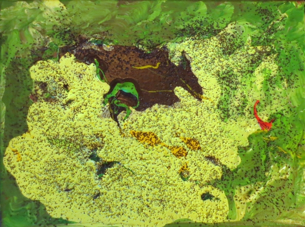 Laguna Verde by Jaime Gracia